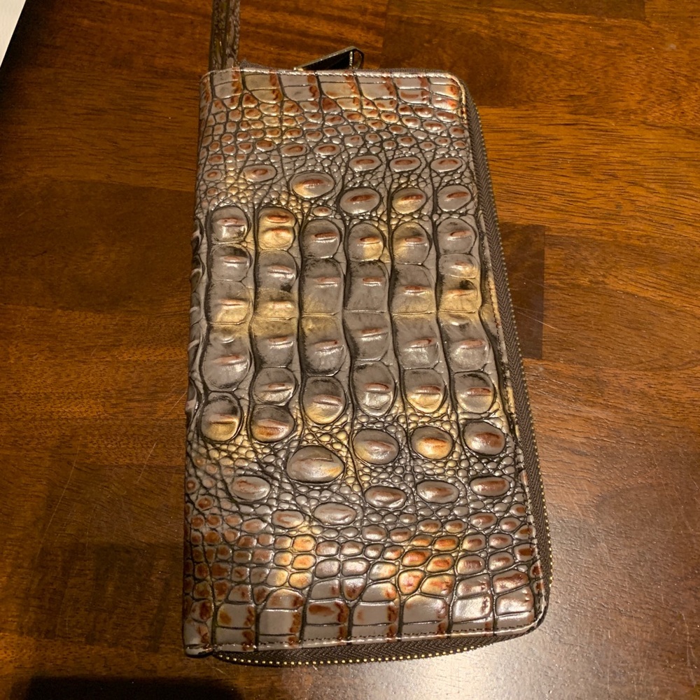 Fall Tortoise Brahmin Skylar wallet/wristlet